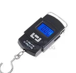 Photo - Electronic Digital Scale