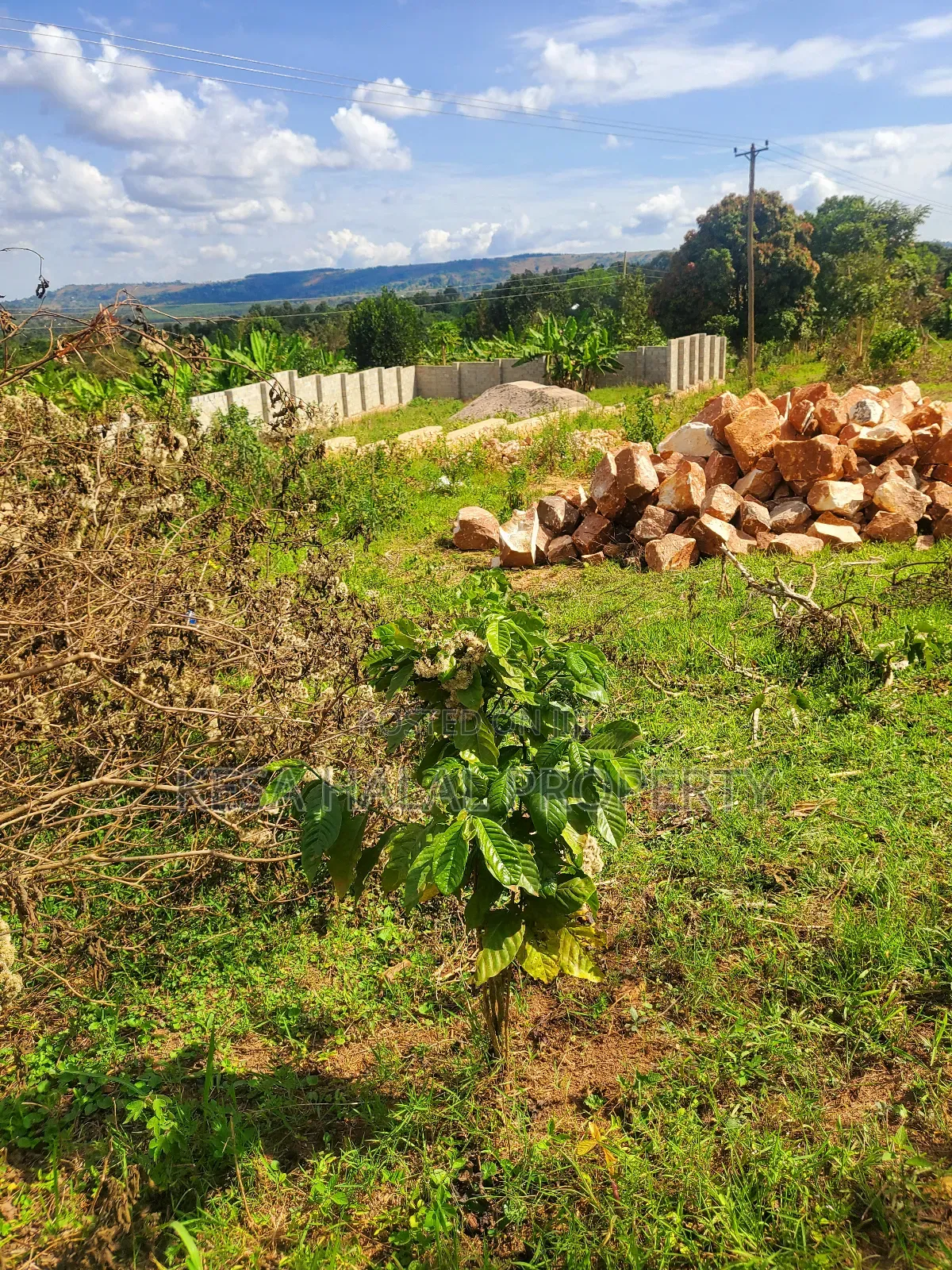 Nice Titled Plots in Gombe Nearing Town and Main Rd