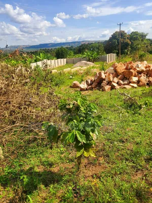 Nice Titled Plots in Gombe Nearing Town and Main Rd