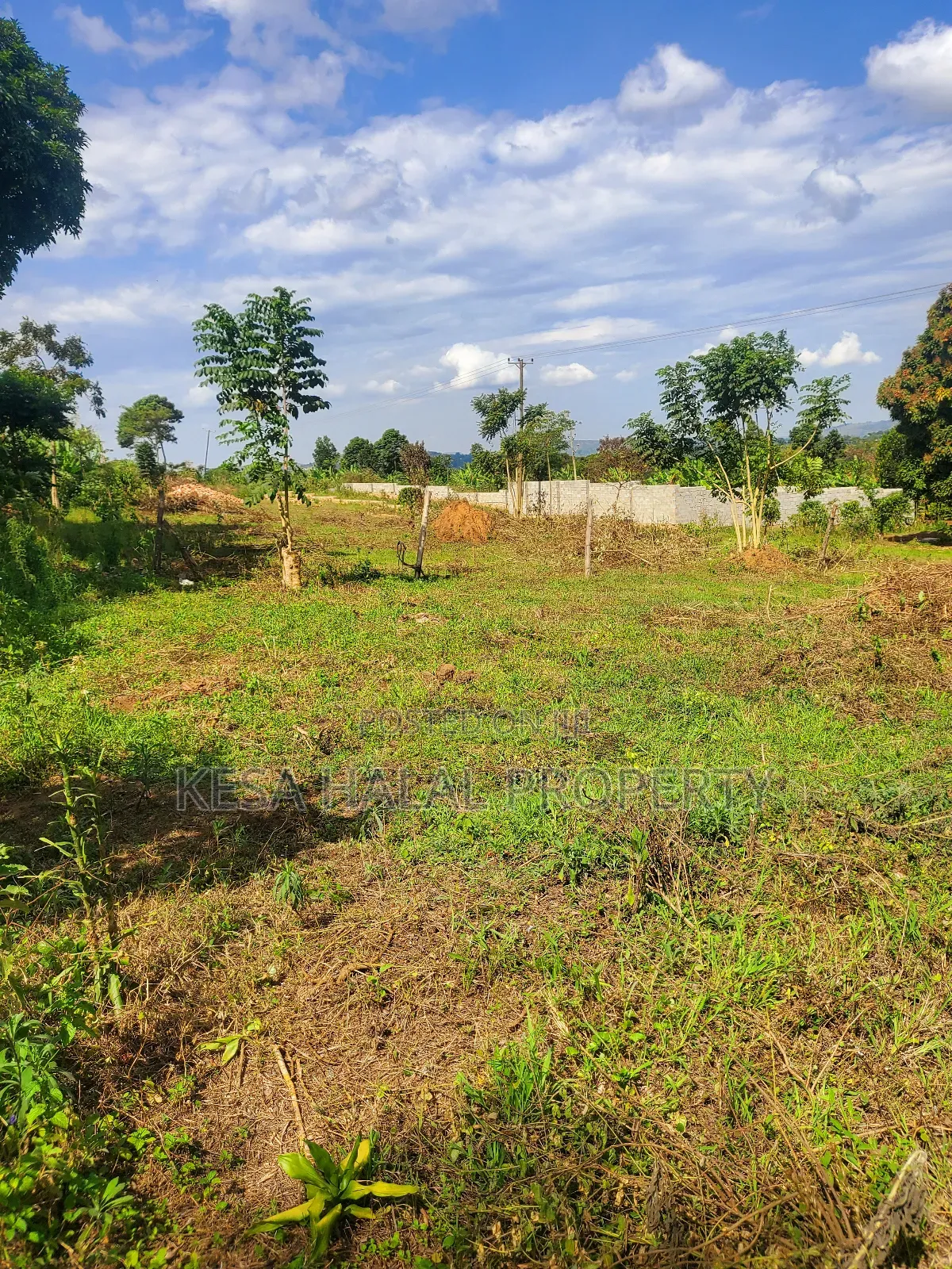 Nice Titled Plots in Gombe Nearing Town and Main Rd
