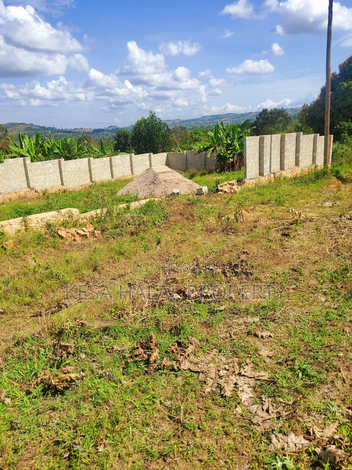 Nice Titled Plots in Gombe Nearing Town and Main Rd