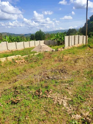 Nice Titled Plots in Gombe Nearing Town and Main Rd
