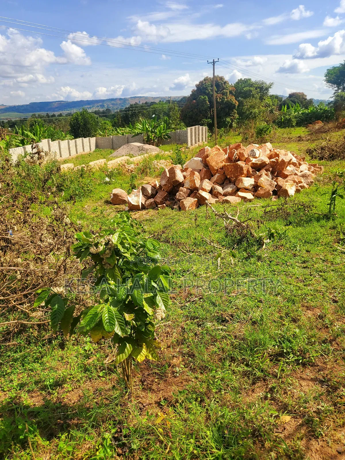Nice Titled Plots in Gombe Nearing Town and Main Rd