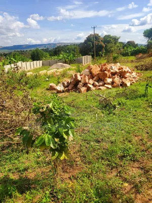 Nice Titled Plots in Gombe Nearing Town and Main Rd