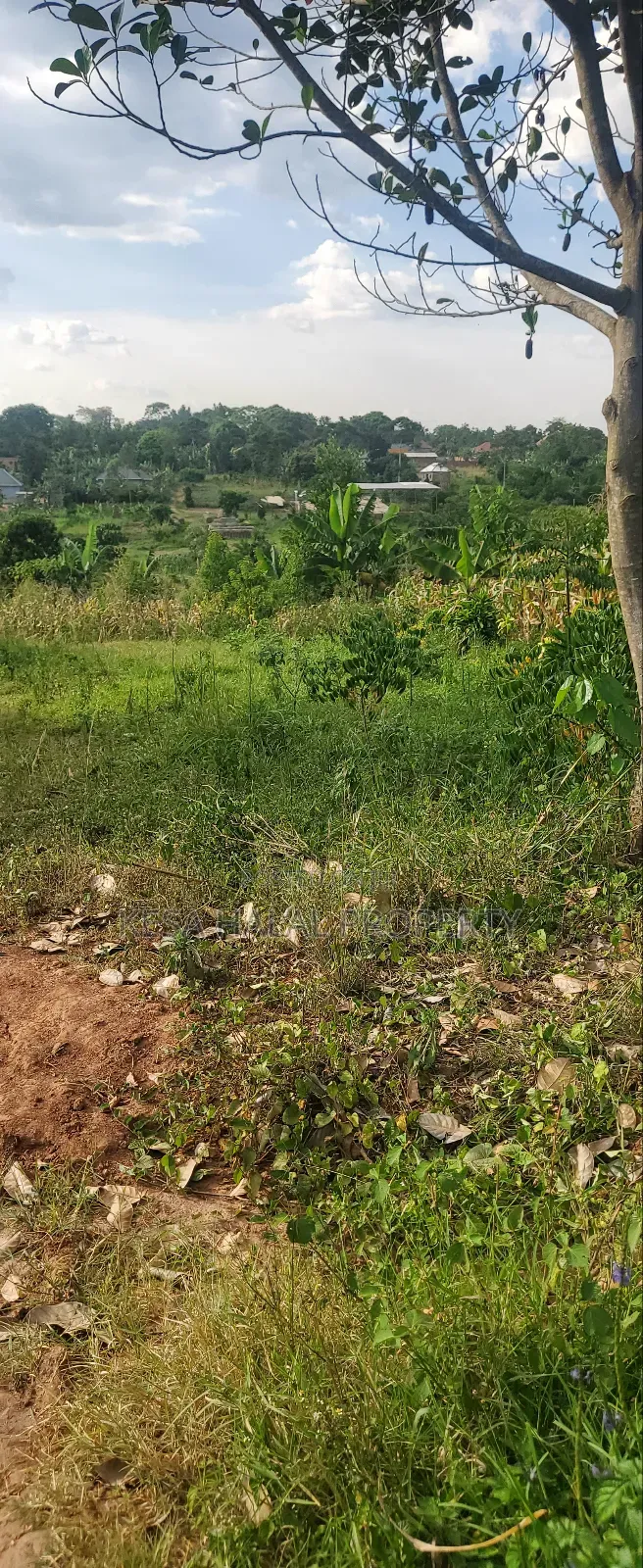 Titled 1.39 Acres With Unfinished House in It Good View