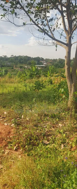 Titled 1.39 Acres With Unfinished House in It Good View