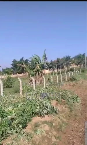 50 Decimals at Dewe After Kitende