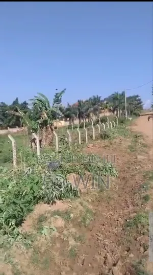 50 Decimals at Dewe After Kitende