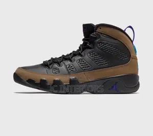 Air Jordan Ix Retro ‘Light Olive Concord‘