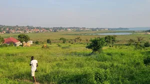 Photo - 9acers Lake View Land in Nkumba Entebbe
