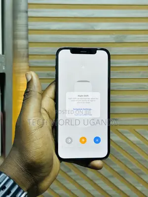 Apple iPhone 12 Pro 256 GB Blue