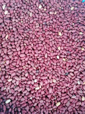 Photo - Red and White Groundnuts.