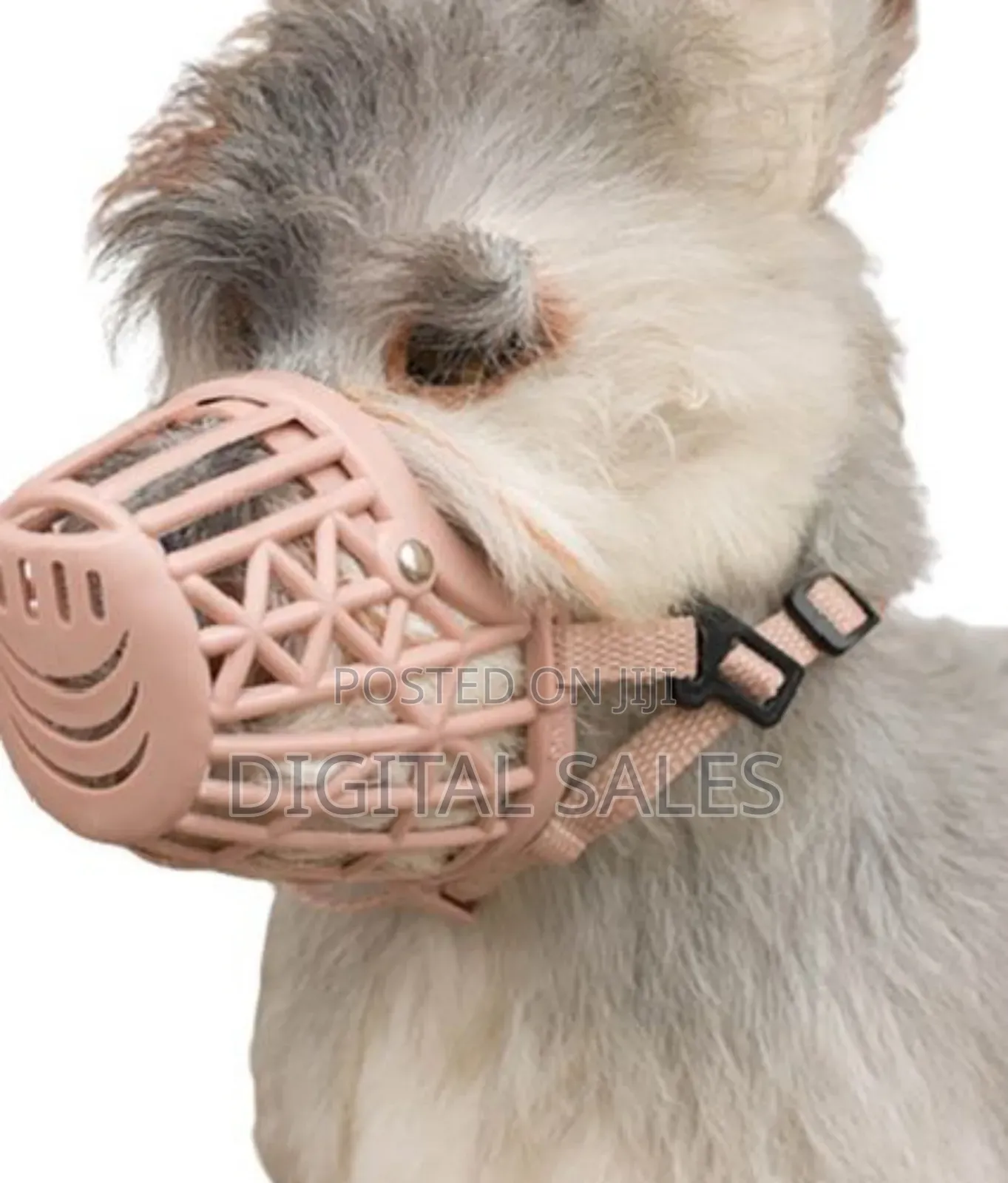 High Quality Dog Muzzles
