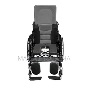 Stainless Steel Reclining Wheelchair With a Poty