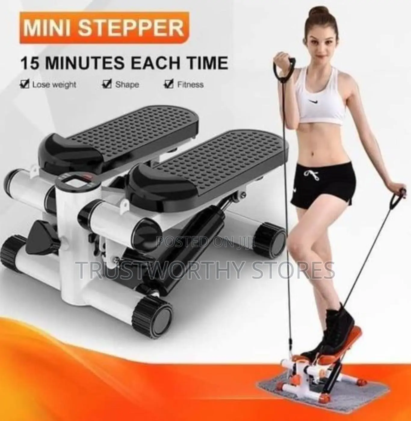 Mini Stepper