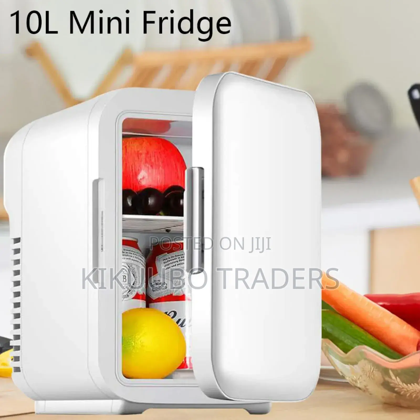 Mini Car Refrigerator