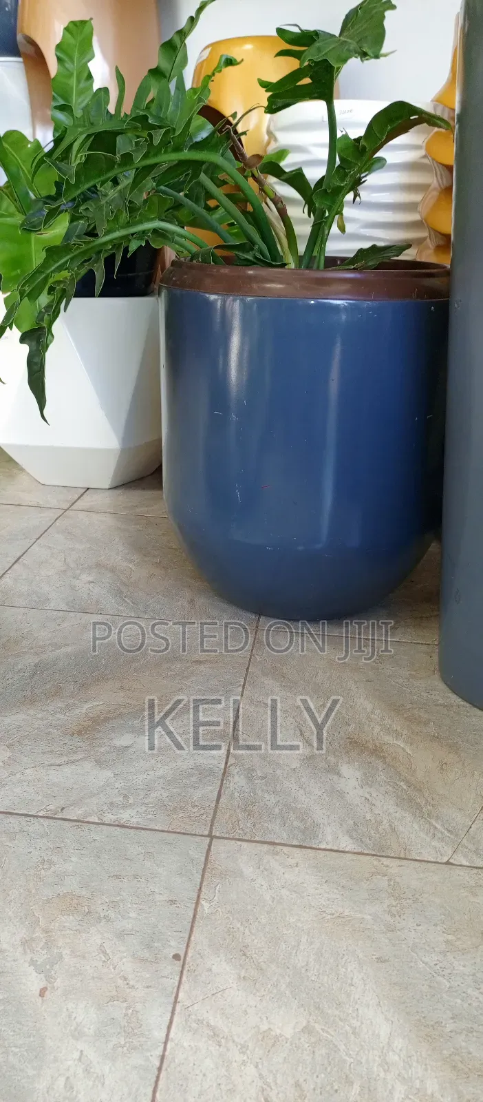 Fiberglass Flower Pots Available at Affordable Prices