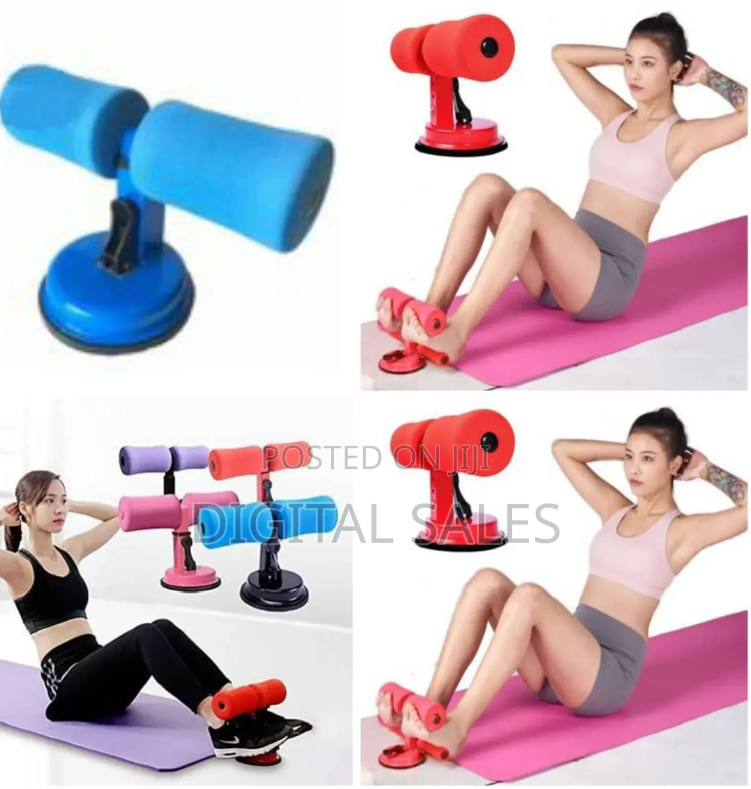 Sit Up Bar/Stand - Multicolour