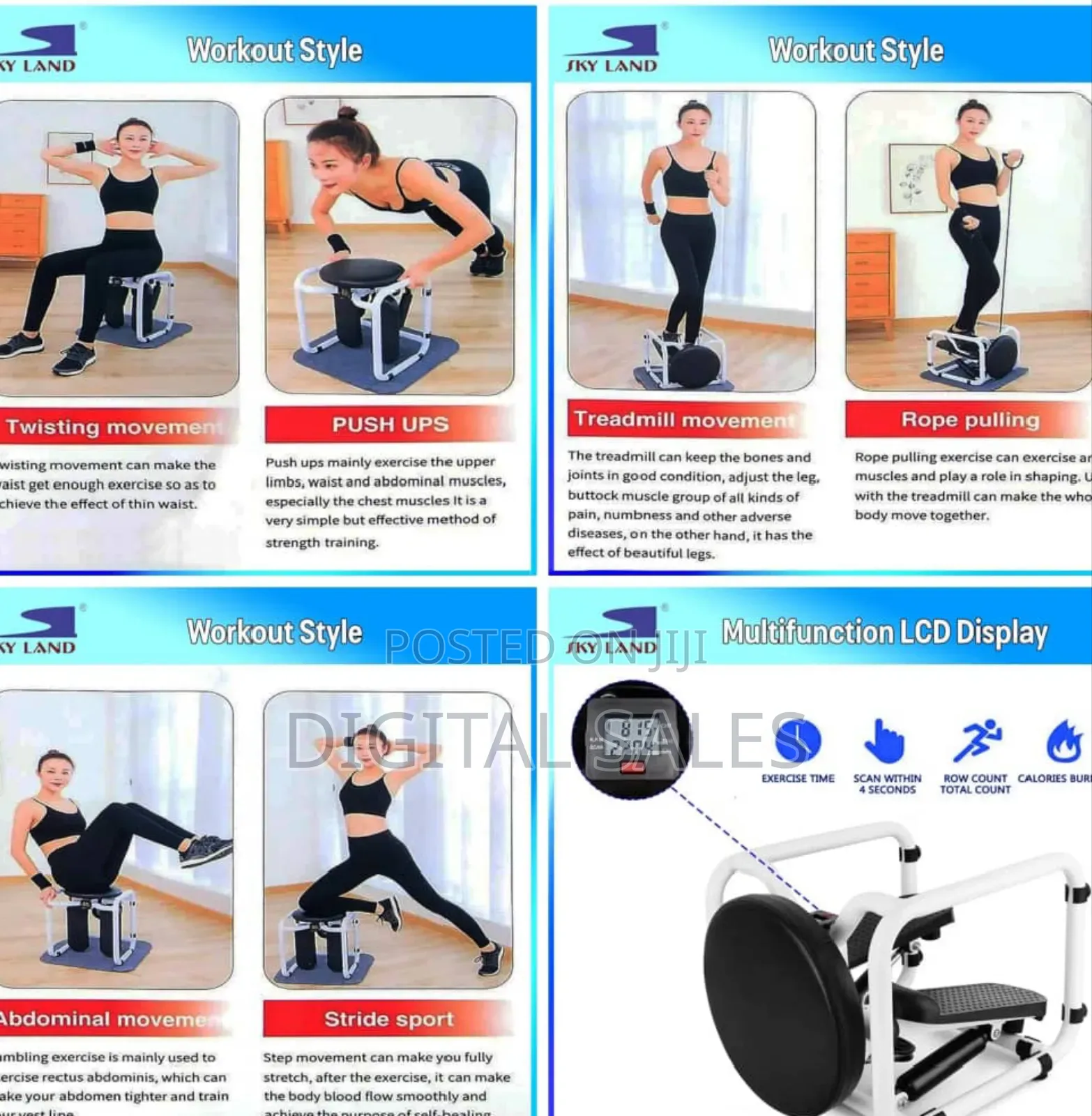 Multifunctional Fitness Twist Stepper