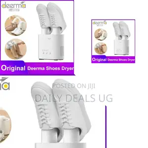 Rechargeable Shoe Dryer