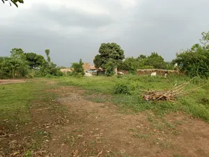 50 by 100 FTS Pot on Sale in Matuga Kavule