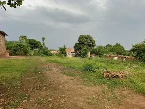 50 by 100 FTS Pot on Sale in Matuga Kavule
