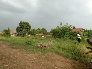 50 by 100 FTS Pot on Sale in Matuga Kavule