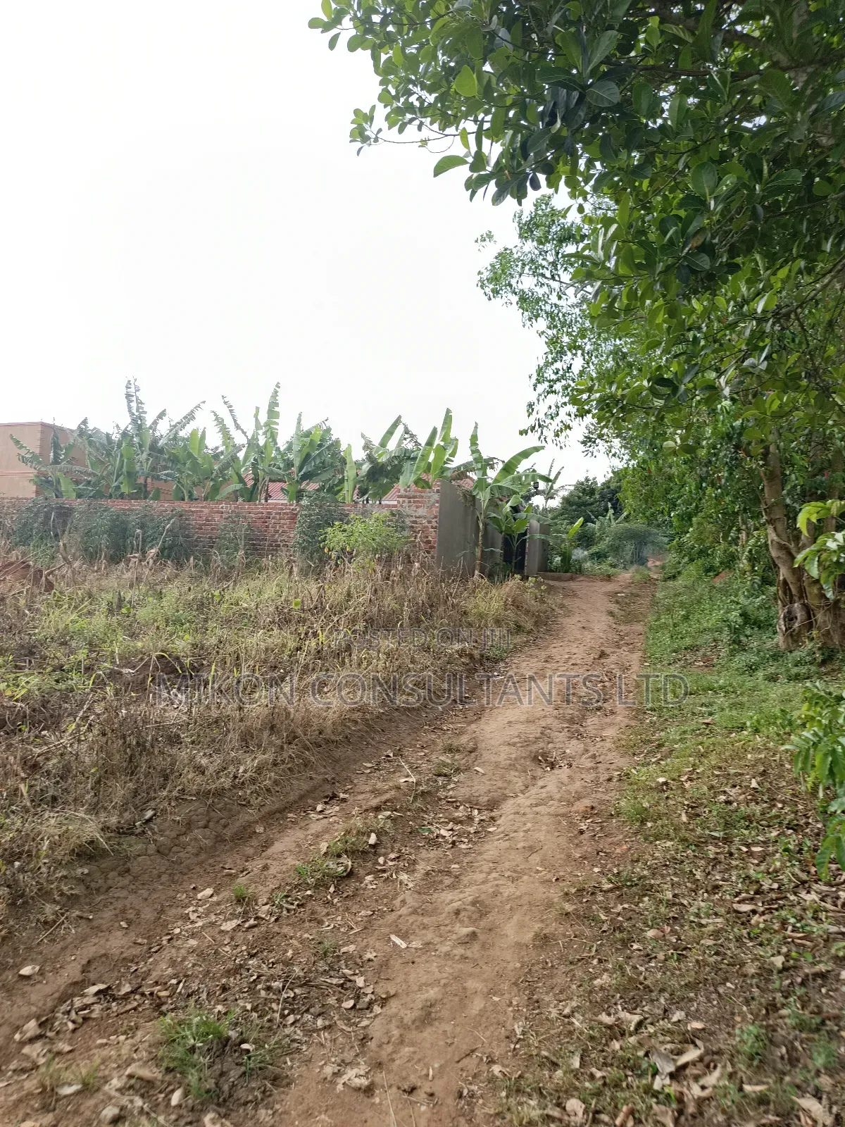 50 by 100 FTS Pot on Sale in Matuga Kavule