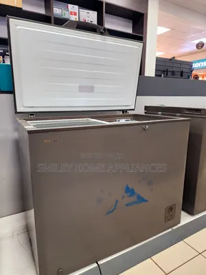 Hisense Commercial Deep Freezer 310ltrs