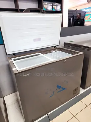 Commercial Hisense Deep Freezer 310ltrs