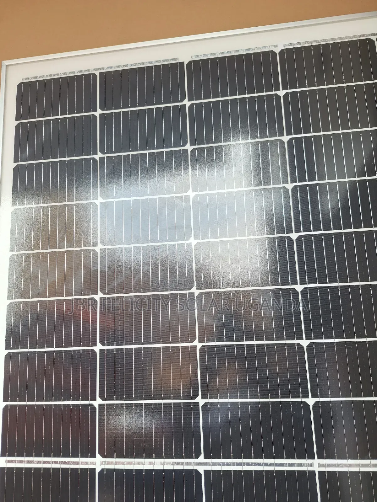 450w Mono Panels