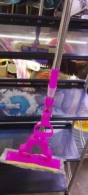 Squeeze Mopper