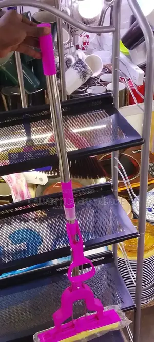 Squeeze Mopper