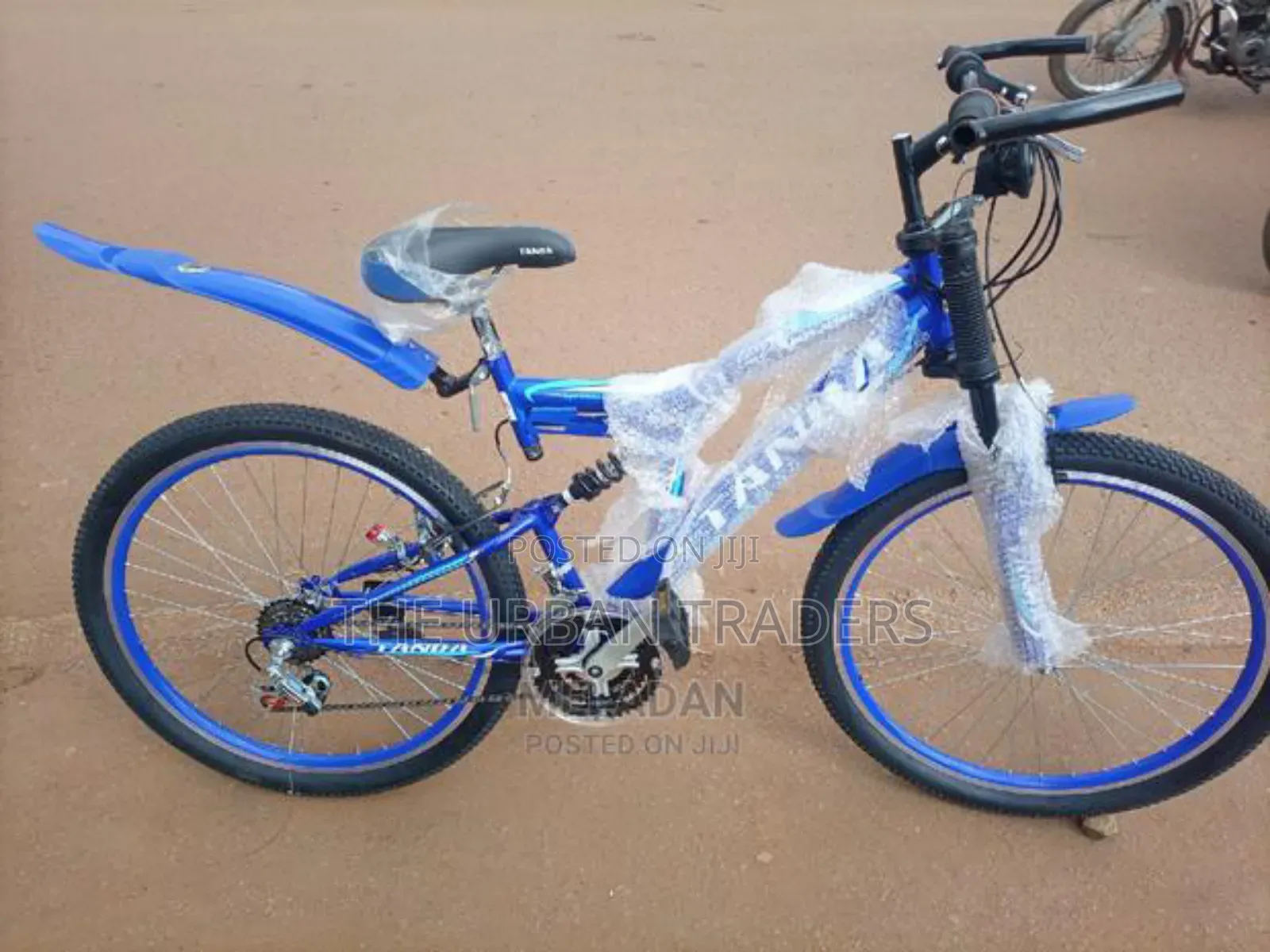 Blue Mountain Bike