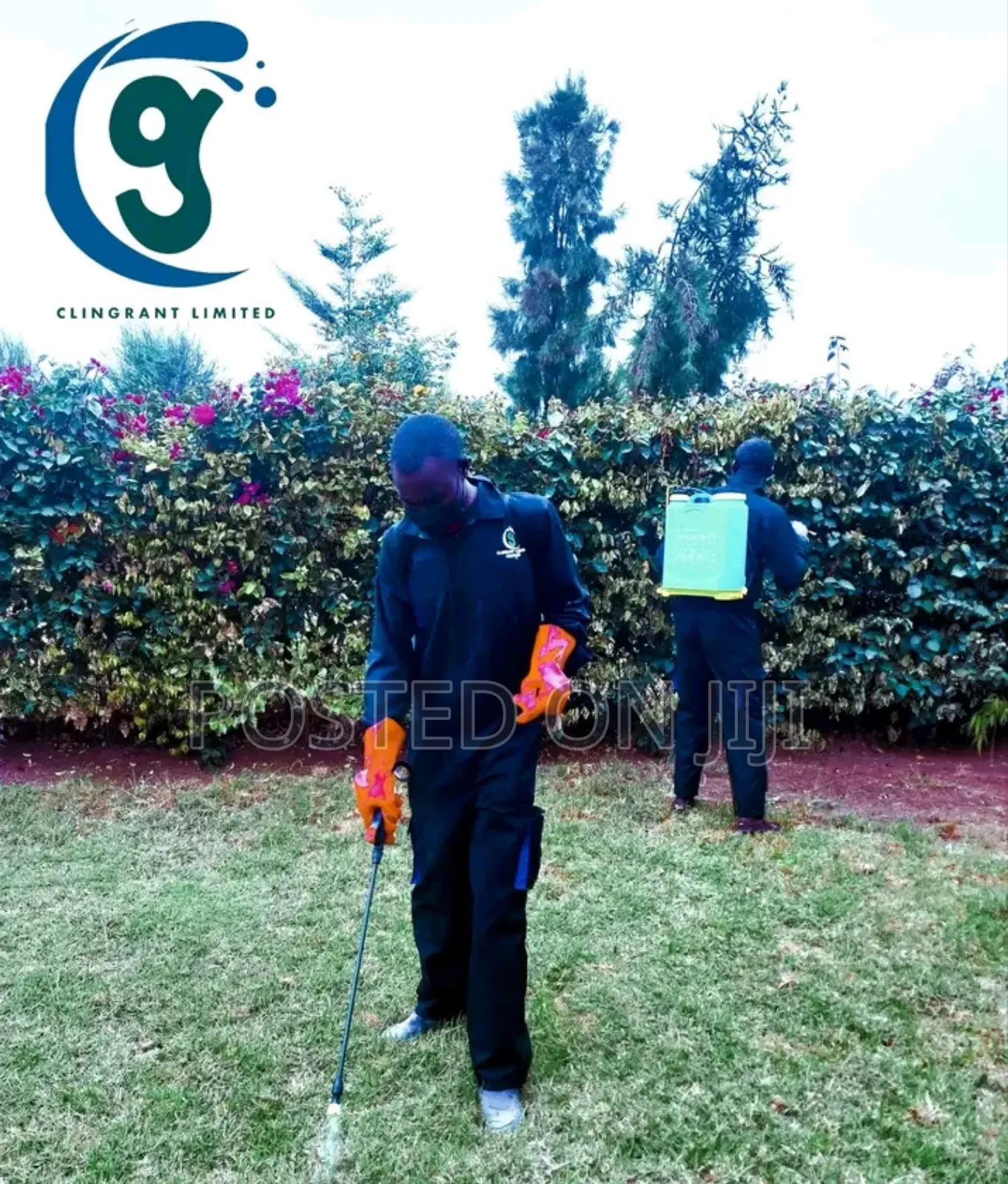 Fumigation