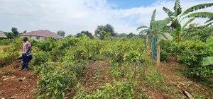 Very Sweet Deal of 31 Decimals on Forcedsale in Mpigi Kabira