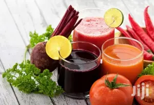 Salton Stainless Steel Juicer 350W