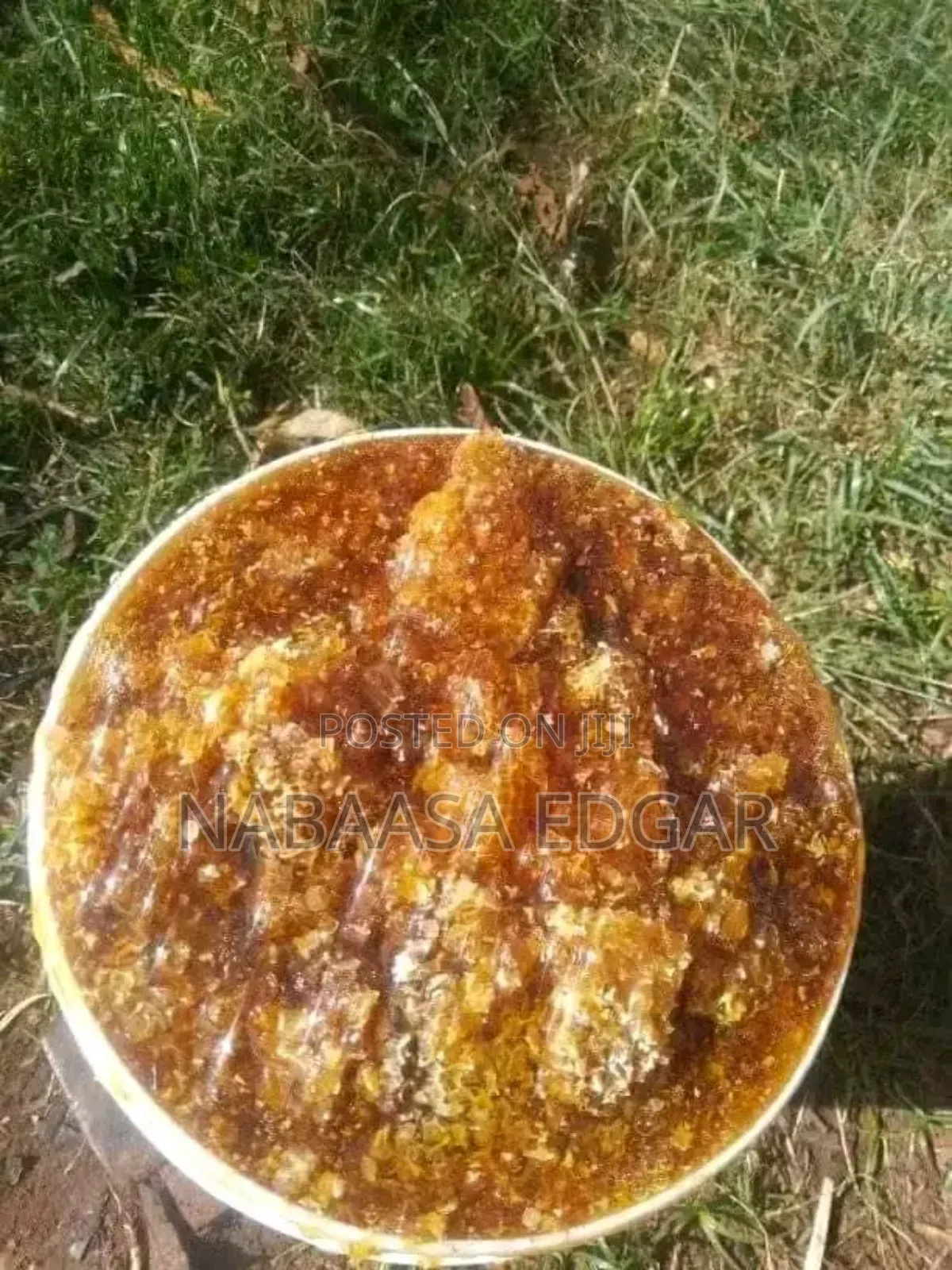 Pure Honey Combs From the Beehive