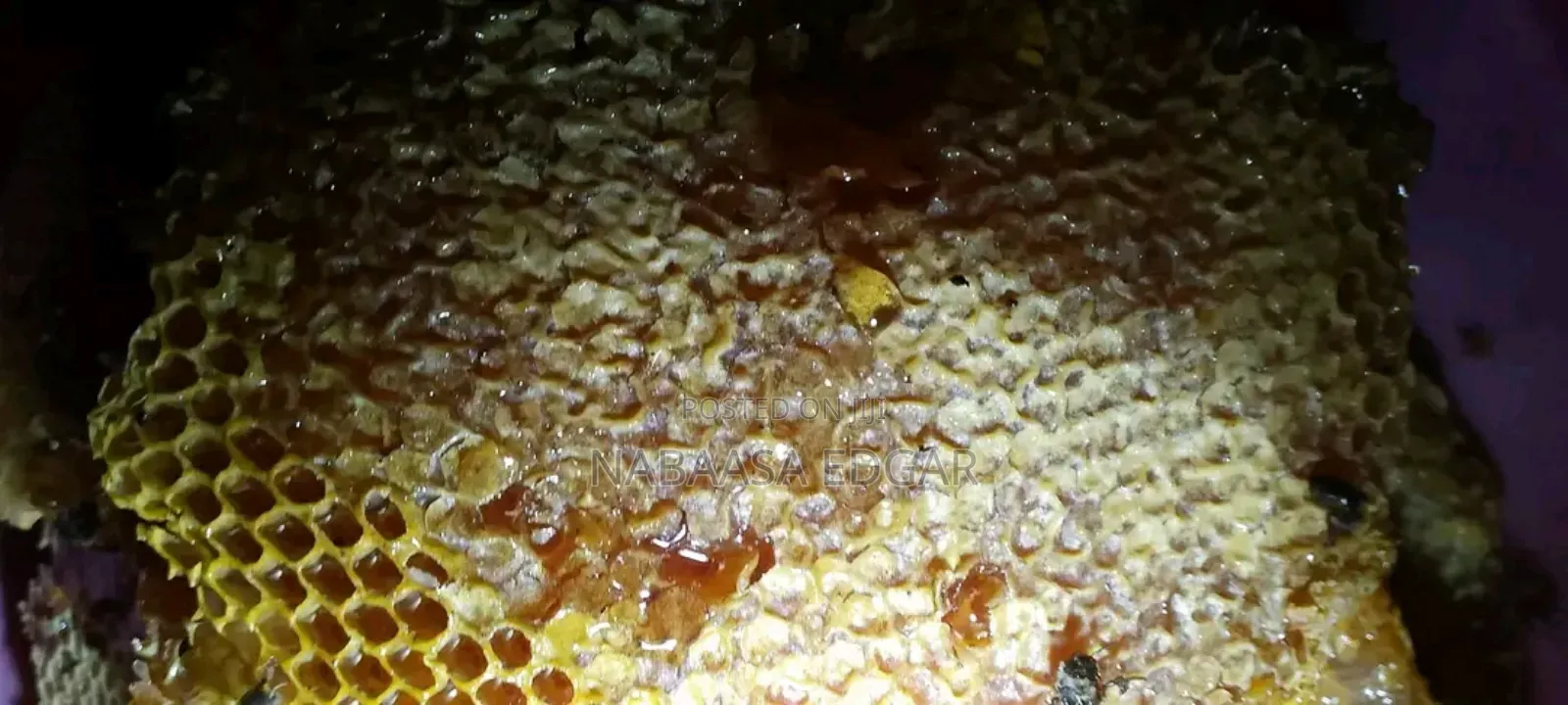 Pure Honey Combs From the Beehive