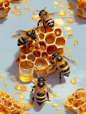 Pure Honey Combs From the Beehive