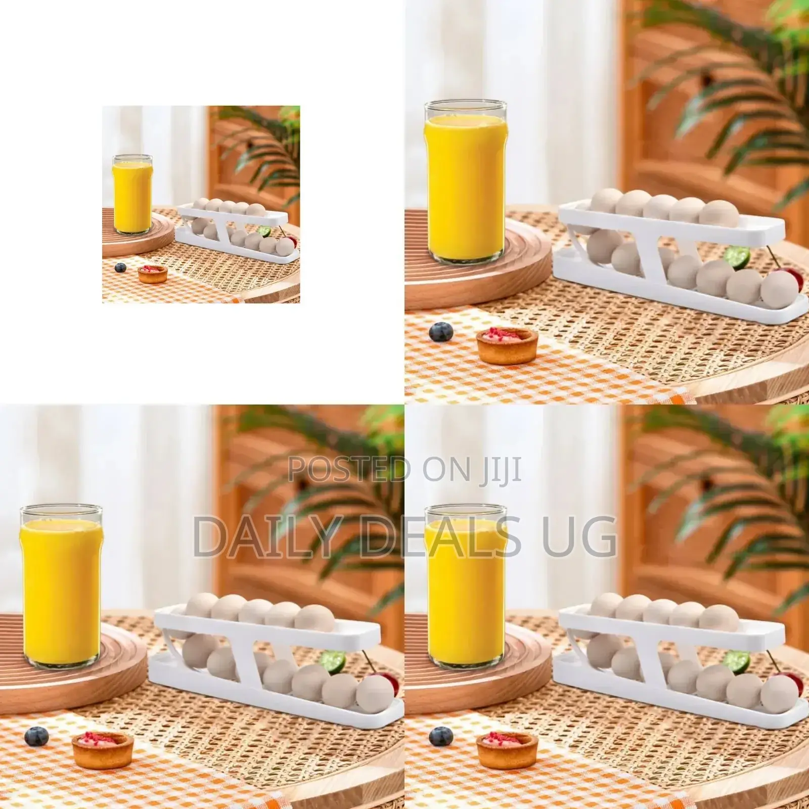 Egg Storage Tray