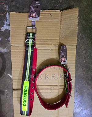 Photo - Heavy Duty Dog Collar (NEW)