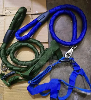 Perfect Quality Big Duty Leaches With Harness