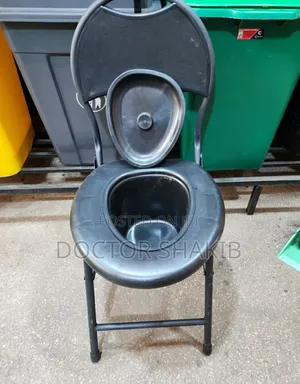 Unique Affordable Adult Potty Chair
