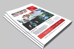 Company Printed Flyers