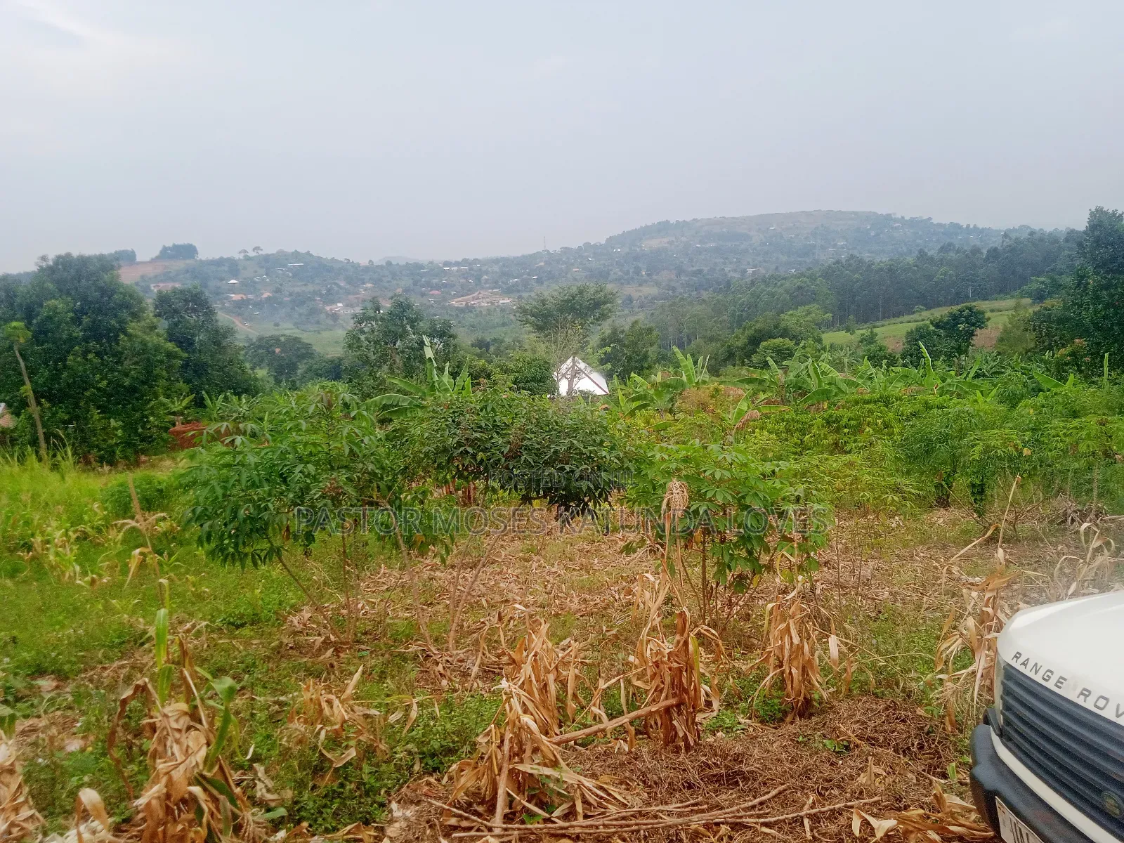 Land in Mpigi 31 Decimals