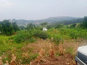 Land in Mpigi 31 Decimals