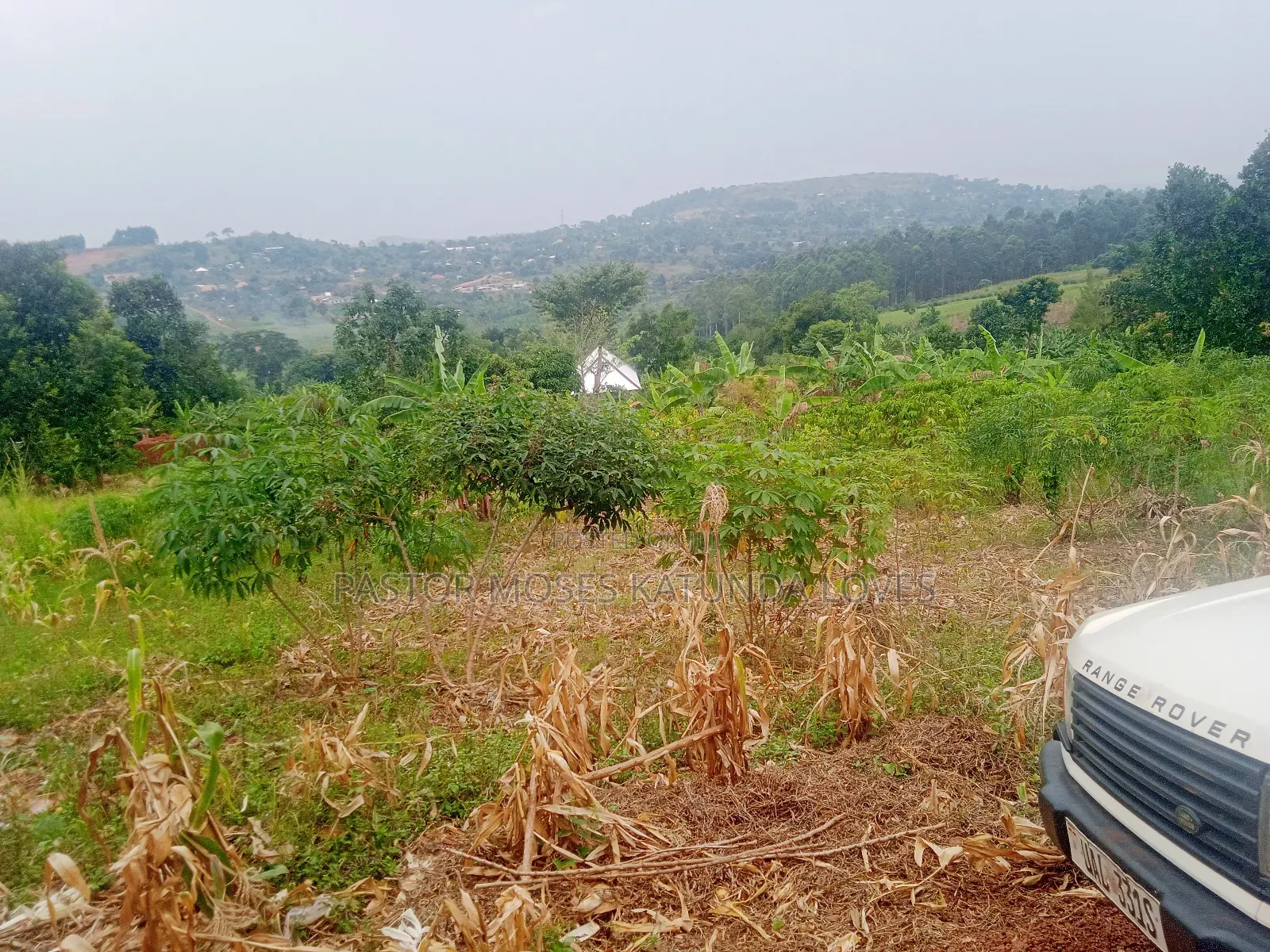 Land in Mpigi 31 Decimals