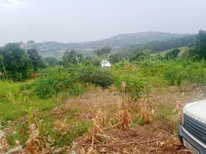 Land in Mpigi 31 Decimals