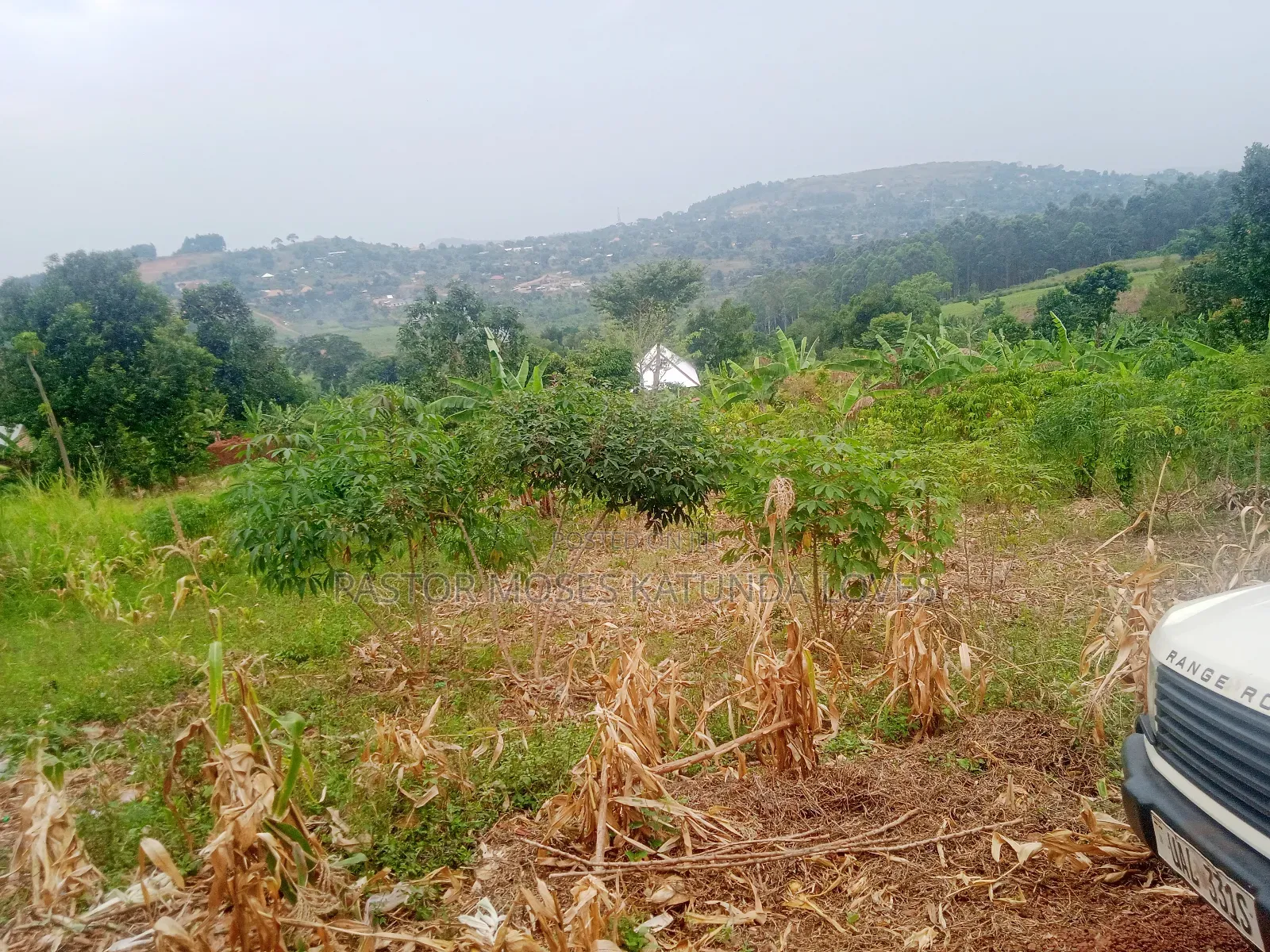 Land in Mpigi 31 Decimals